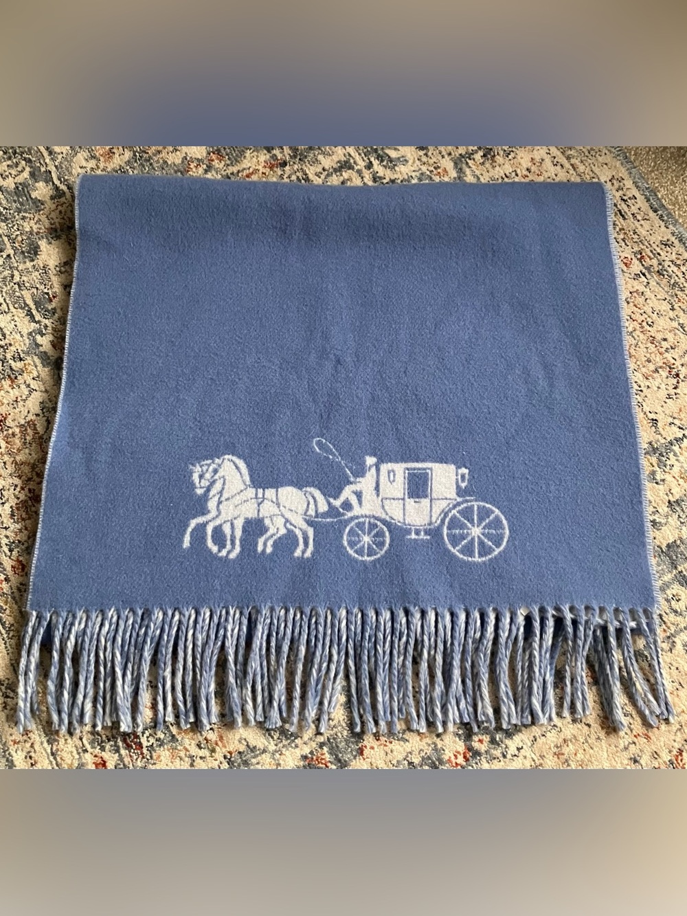 Coach Periwinkle Scarf